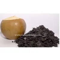 Coconut Shell Charcoal